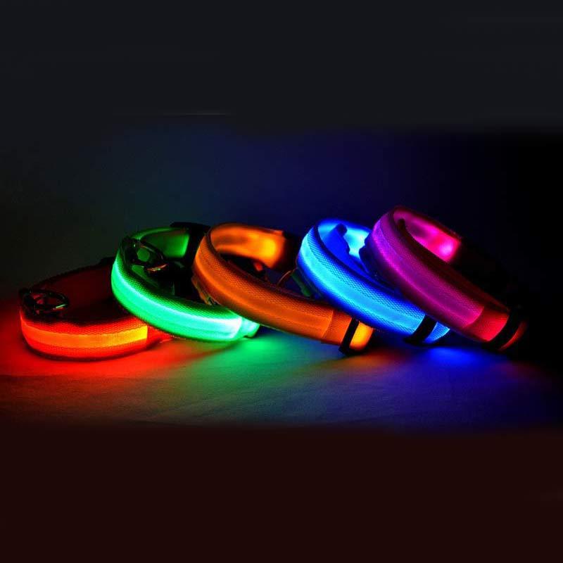 LED Light-Up Dog Collar - Night Safety Glowing Collar For Dog