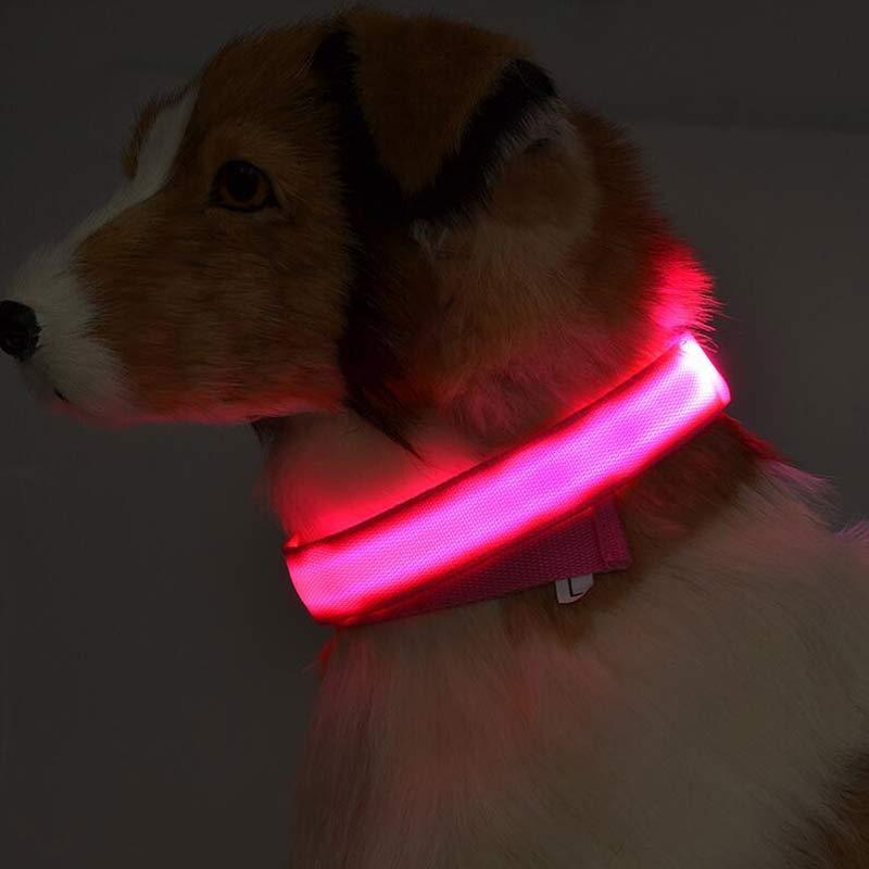 LED Light-Up Dog Collar - Night Safety Glowing Collar For Dog - Image 4