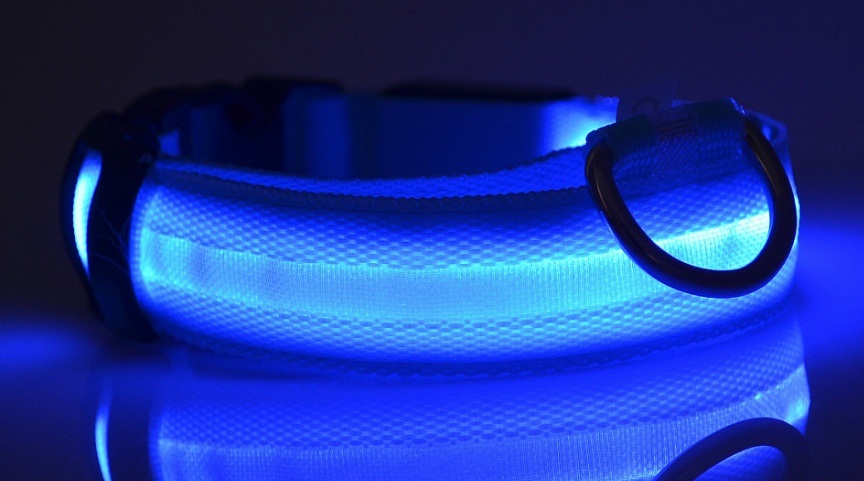 LED Light-Up Dog Collar - Night Safety Glowing Collar For Dog - Image 5